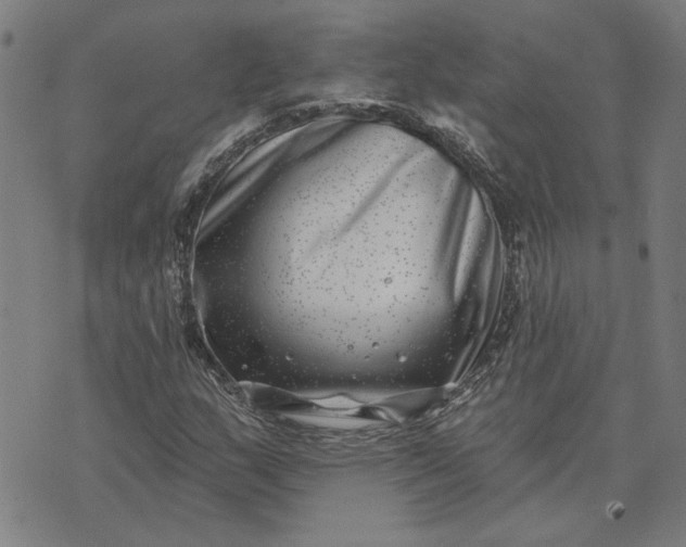 X0000074261159200609081729