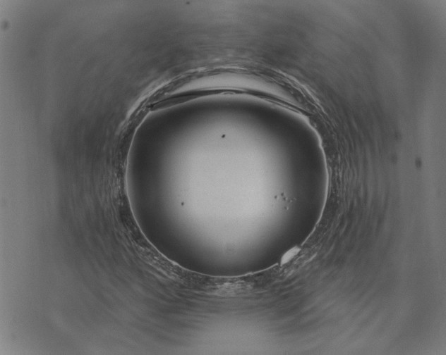 X0000074261160200609081729