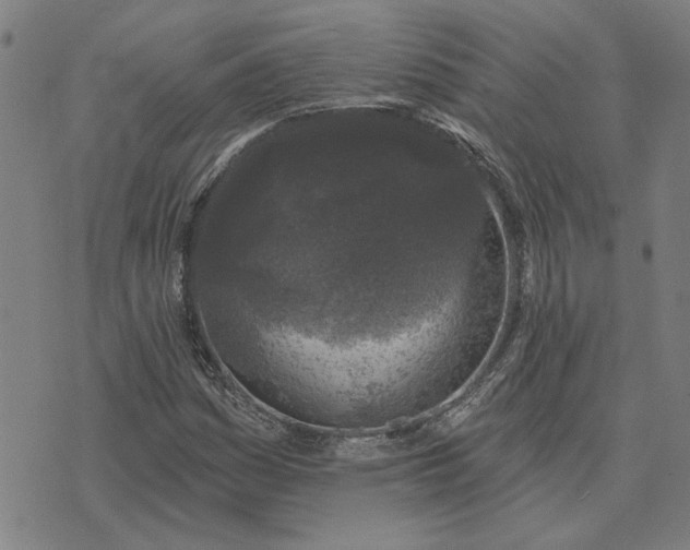 X0000074261161200609081729