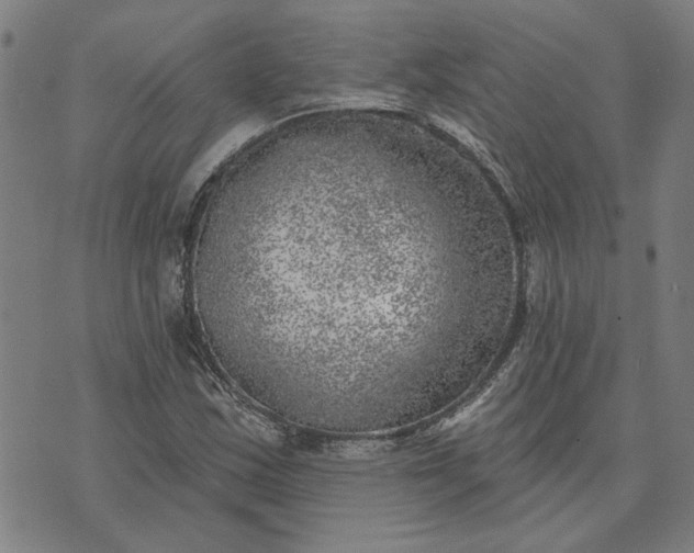 X0000074261163200609081729