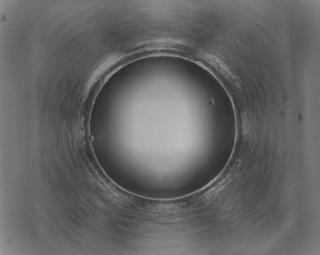 X0000074261164200609081729