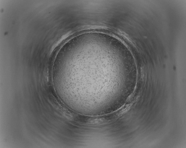 X0000074261165200609081729