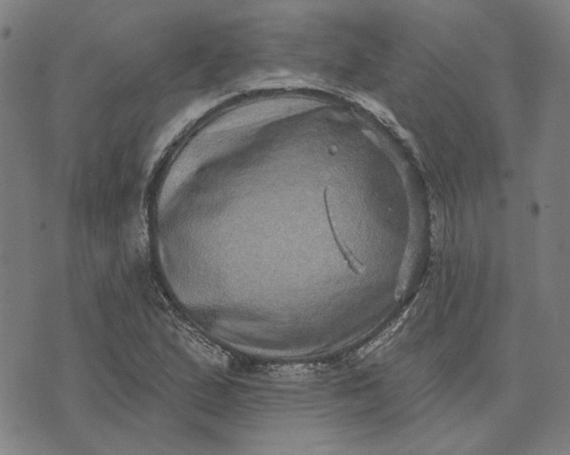 X0000074261167200609081729