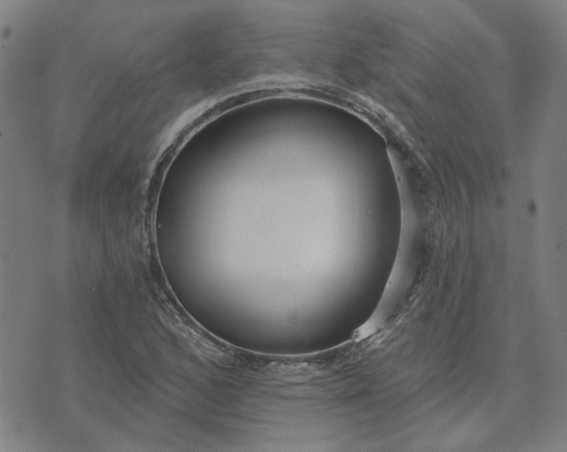 X0000074261168200609081729