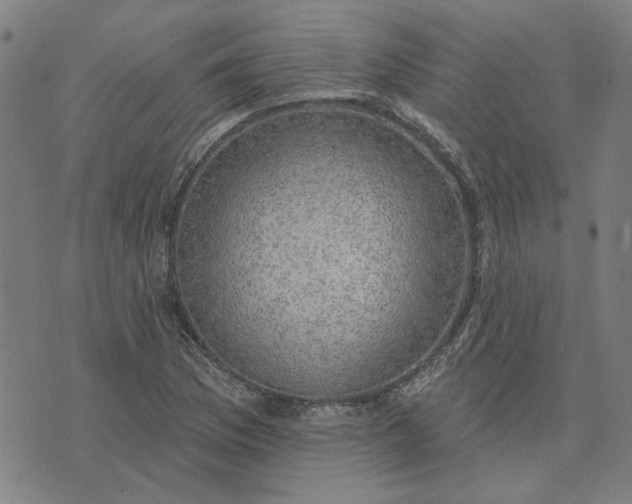 X0000074261169200609081729