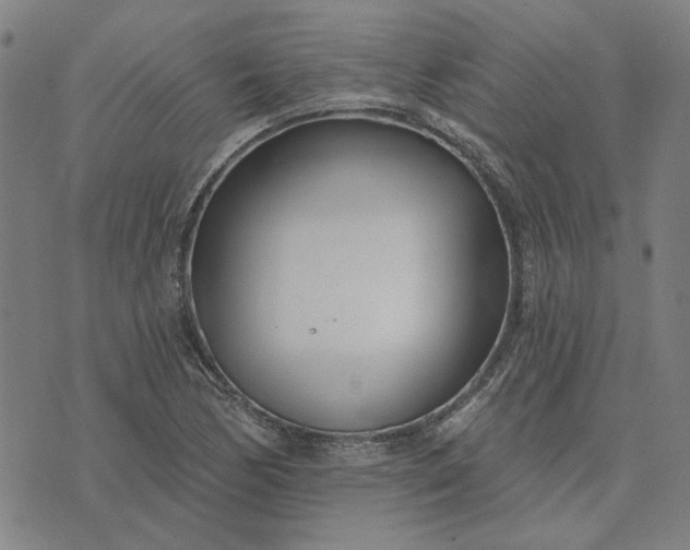 X0000074261170200609081729