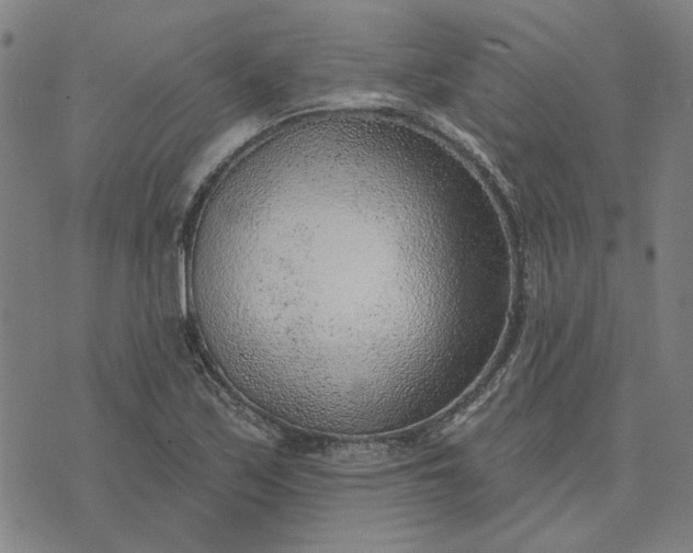 X0000074261171200609081729