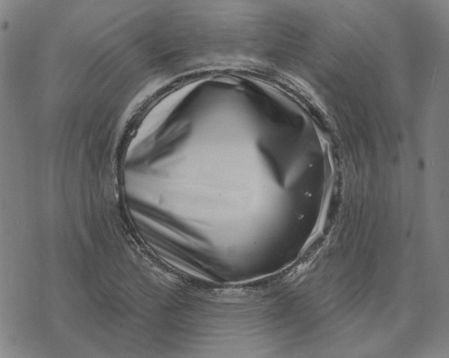 X0000074261172200609081729