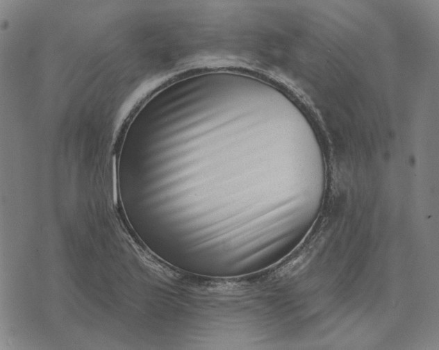 X0000074261175200609081729