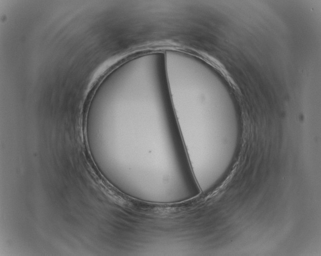 X0000074261176200609081729