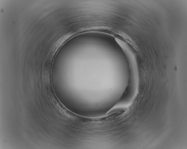 X0000074261177200609081729