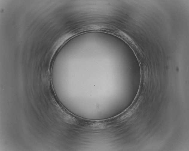 X0000074261178200609081729