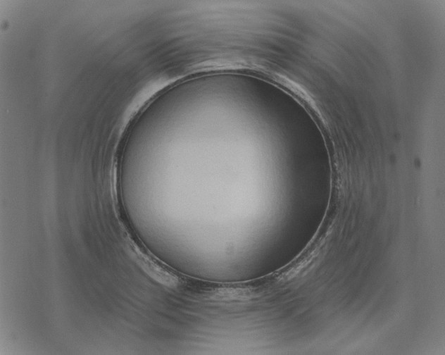 X0000074261179200609081729