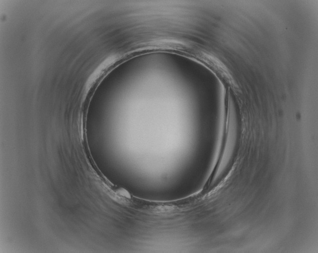 X0000074261180200609081728