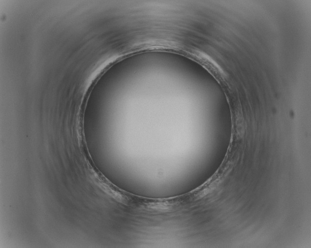 X0000074261182200609081728