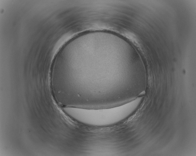 X0000074261183200609081728