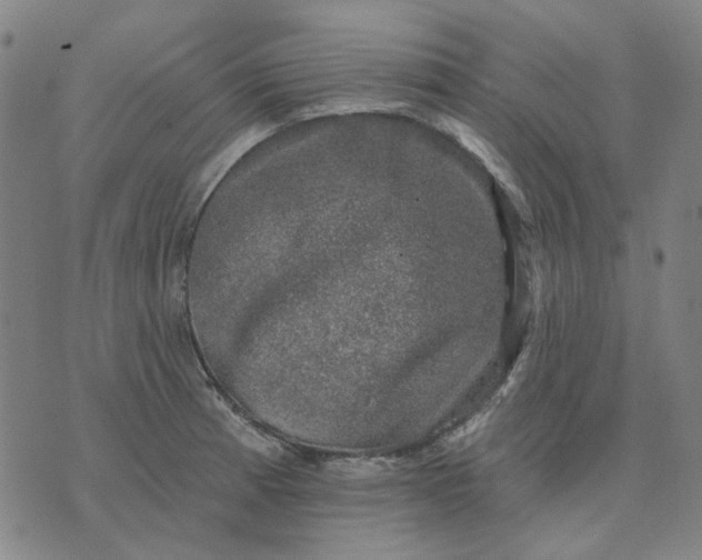 X0000074261185200609081728