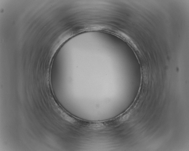 X0000074261186200609081728