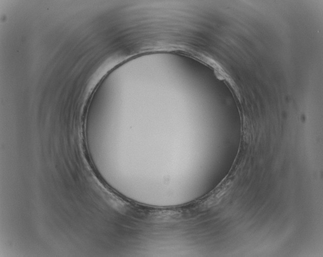 X0000074261187200609081728