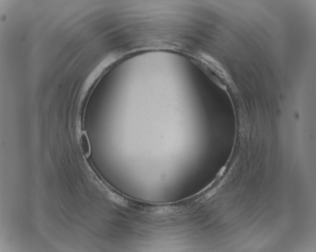 X0000074261188200609081728