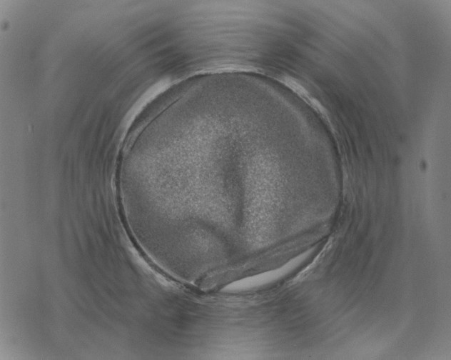 X0000074261189200609081728