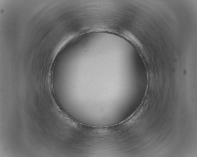 X0000074261190200609081728