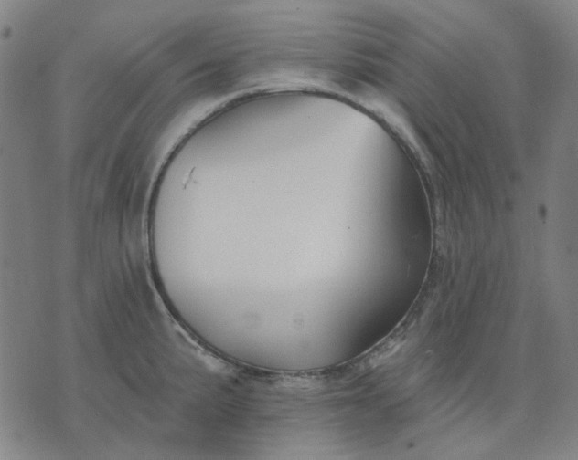 X0000074261191200609081728