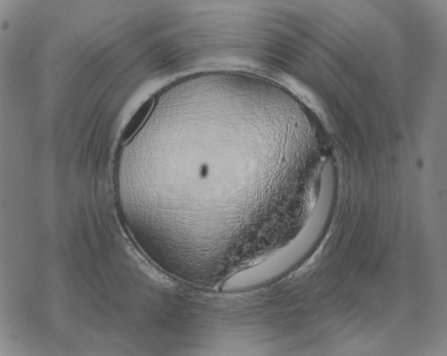 X0000074261192200609081728