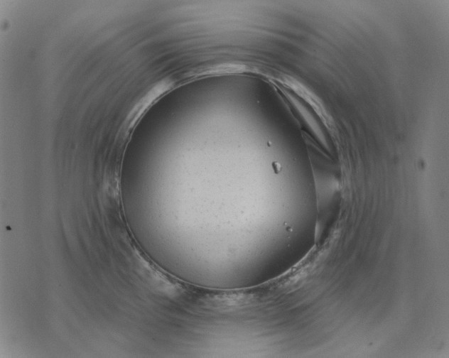 X0000074261193200609081728