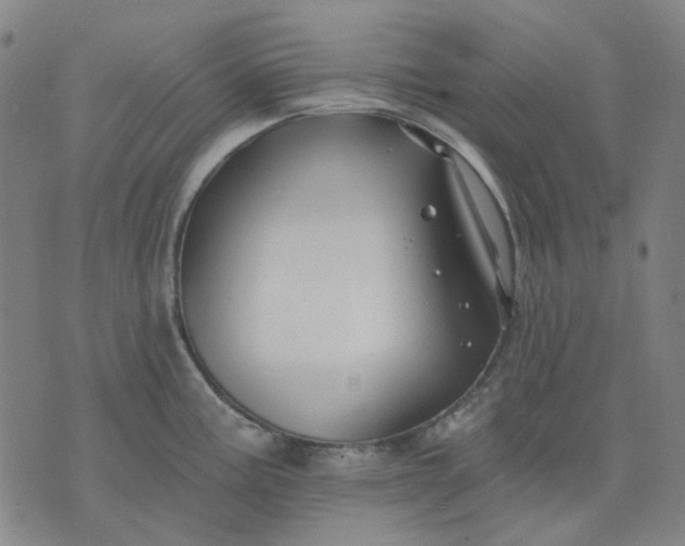 X0000074261195200609081728