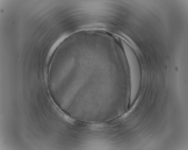 X0000074261196200609081728