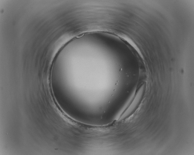 X0000074261197200609081728