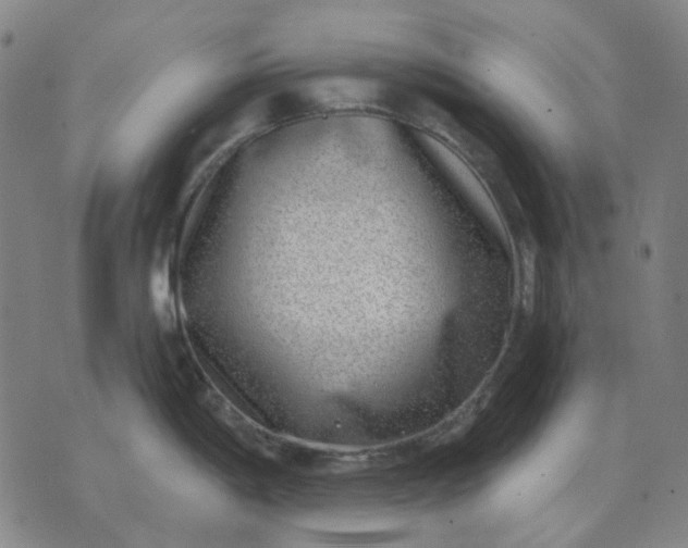 X0000074261198200609081728