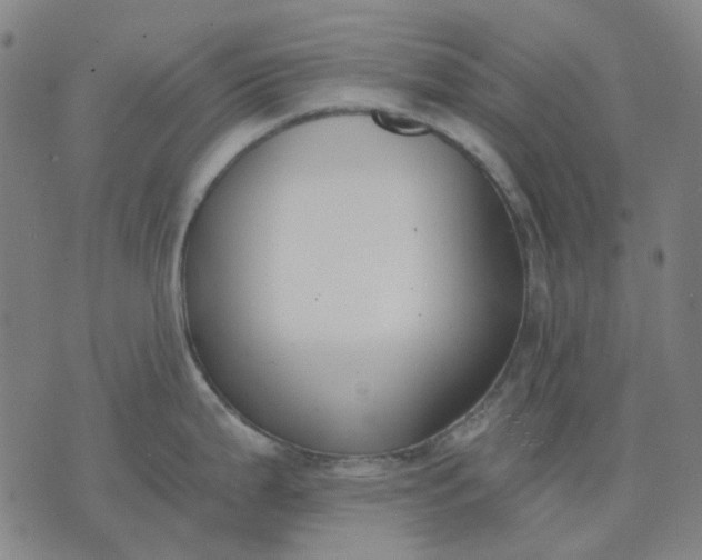 X0000074261199200609081728