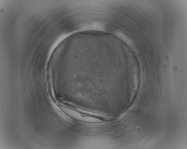 X0000074261200200609081728