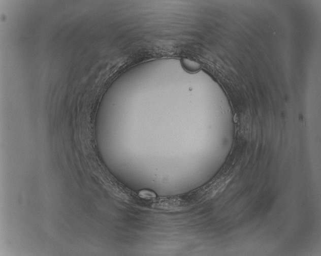 X0000074261201200609081727