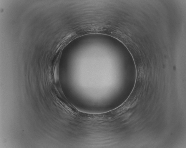 X0000074261202200609081727