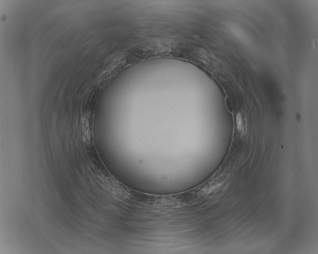 X0000074261203200609081727