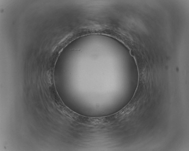 X0000074261205200609081727