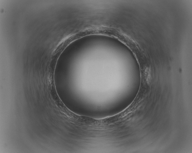 X0000074261206200609081727