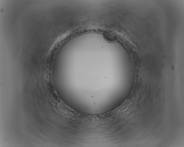 X0000074261207200609081727