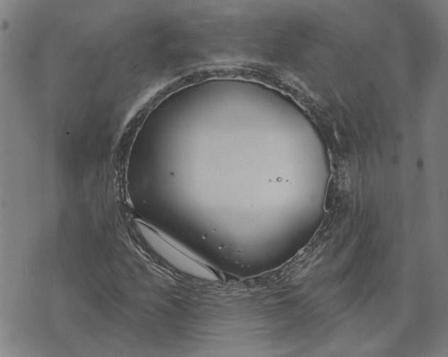 X0000074261208200609081728