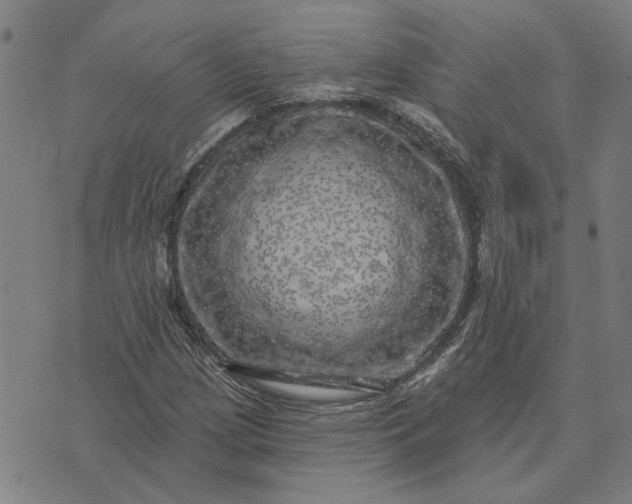 X0000074261209200609081728