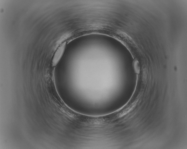 X0000074261210200609081728