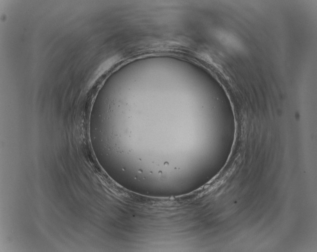 X0000074261211200609081728