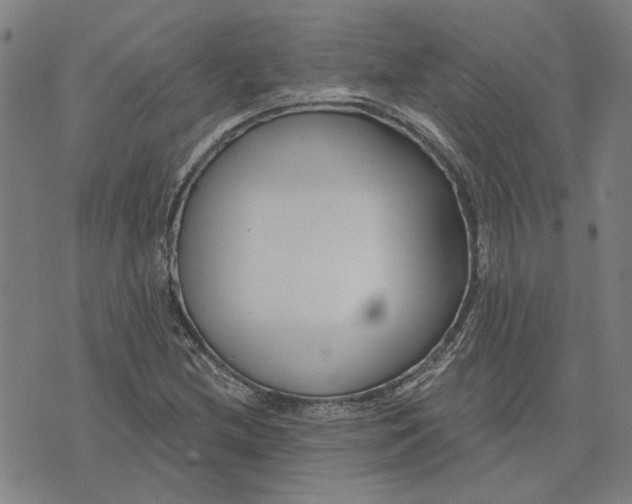 X0000074261212200609081728