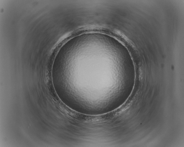 X0000074261213200609081728