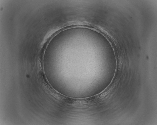 X0000074261215200609081728