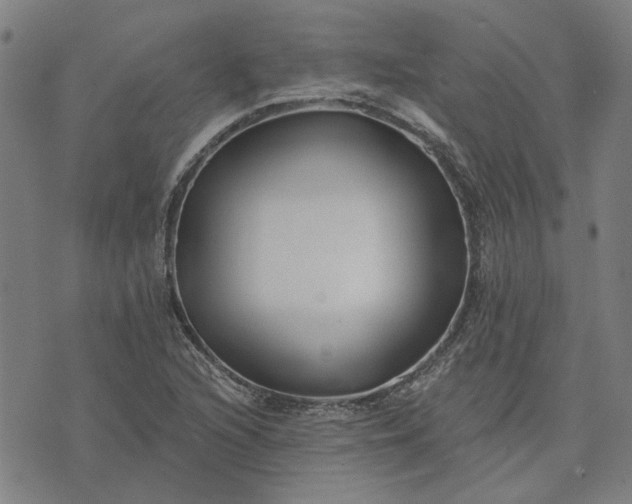 X0000074261216200609081728