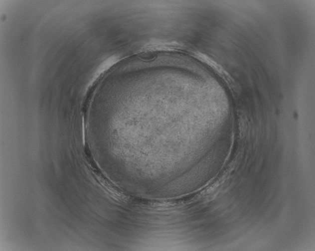 X0000074261219200609081728